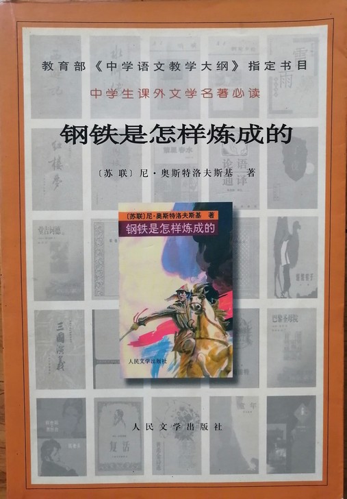 包邮  2000年印刷版  《钢铁是怎样炼...