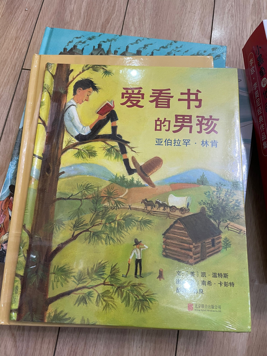 启发名人传记绘本，全新未拆封，跟家里的买重...