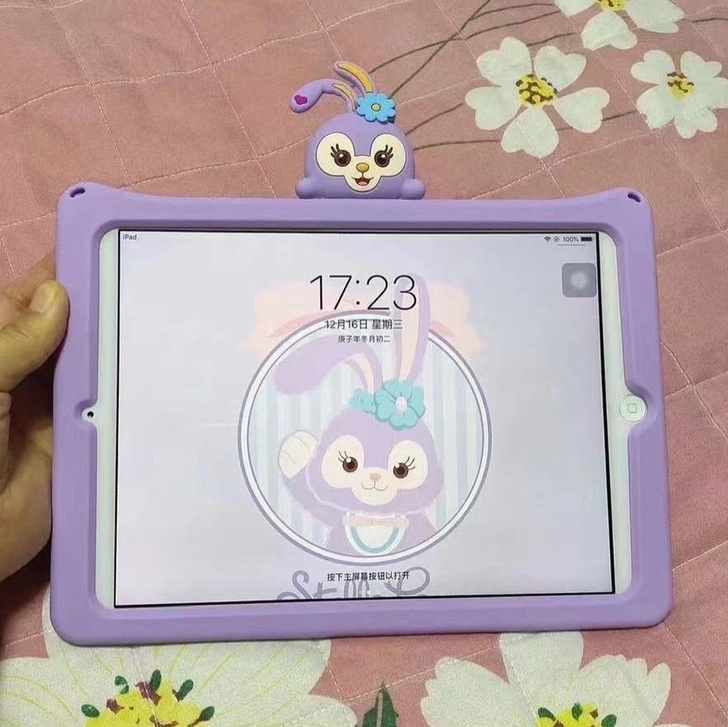 个人出闲置苹果ipad 2019款