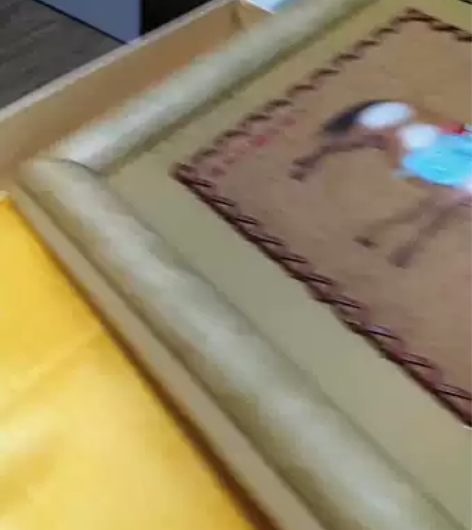 立体工艺品画，原料，真皮！闲置出让！有外包...