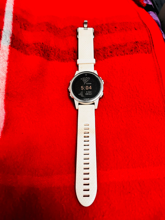 Garmin Fenix 5S 100Me...
