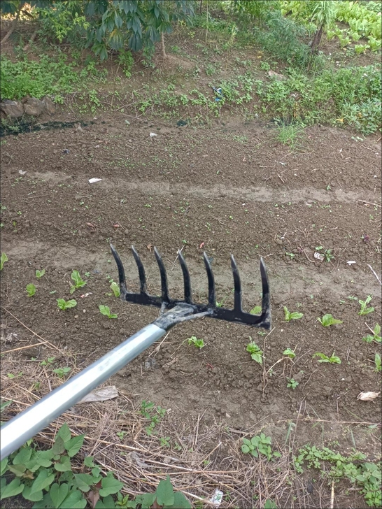 7齿草耙子农用松土钢耙翻地钉耙家用草耙除草...