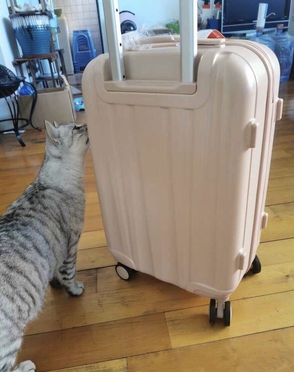 #全部#汉客镇店之宝皮箱小型旅行箱子男20...