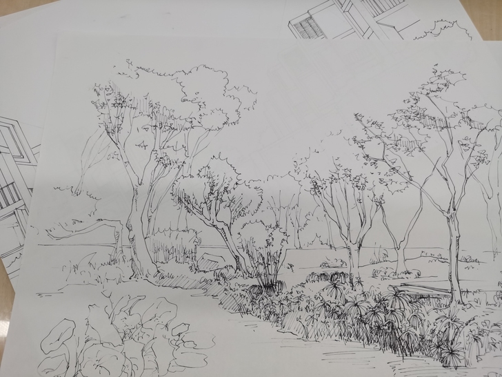 手绘线稿作品闲置