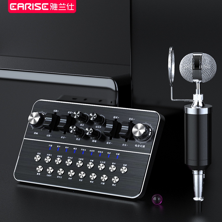 EARISE/雅兰仕 麦克风