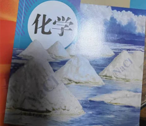 线上辅导/授课/监督/答疑，初中化学/高中...