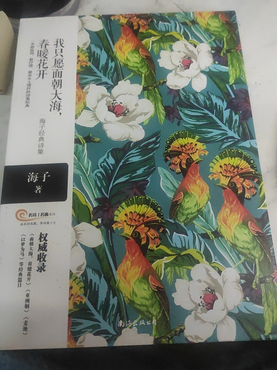 海子##amp；mdash；##amp；m...