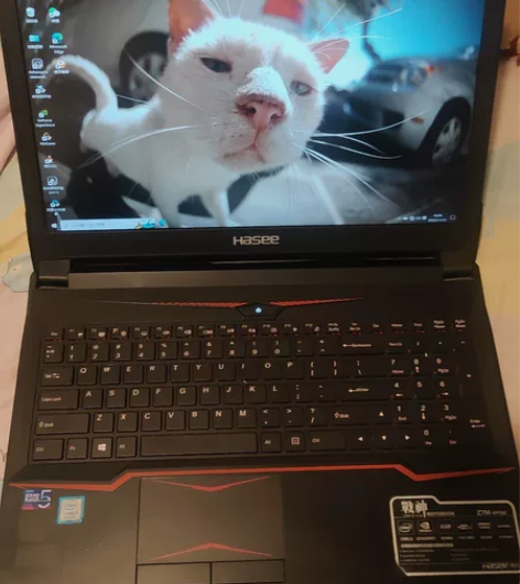 神州战神z7m-kp5sc  游戏本 16...