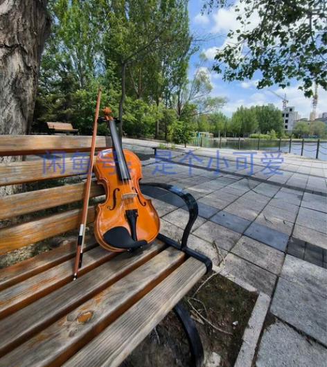 转让个人原价3500入手的4/4小提琴，买...