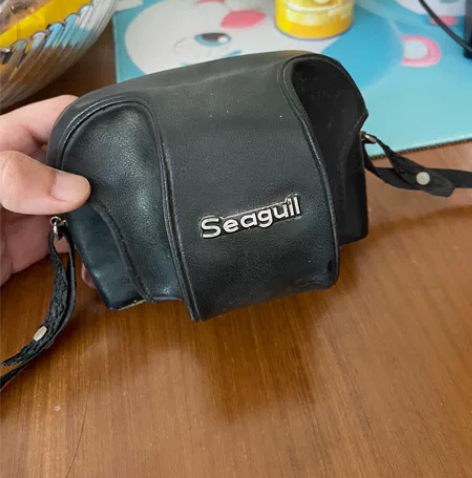 Suagull老式海鸥相机，搬家找到的，不...