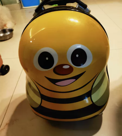 儿童卡通拉杆箱20寸 一次没用过，适合6对...