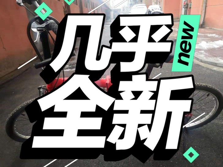 原价一千多的折叠自行车半价处理