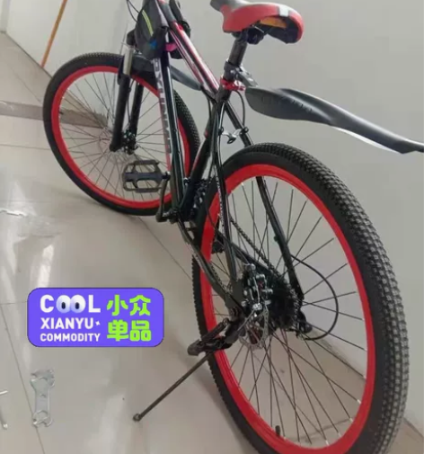 【仓库处理】全新永久同厂山地自行车24寸2...