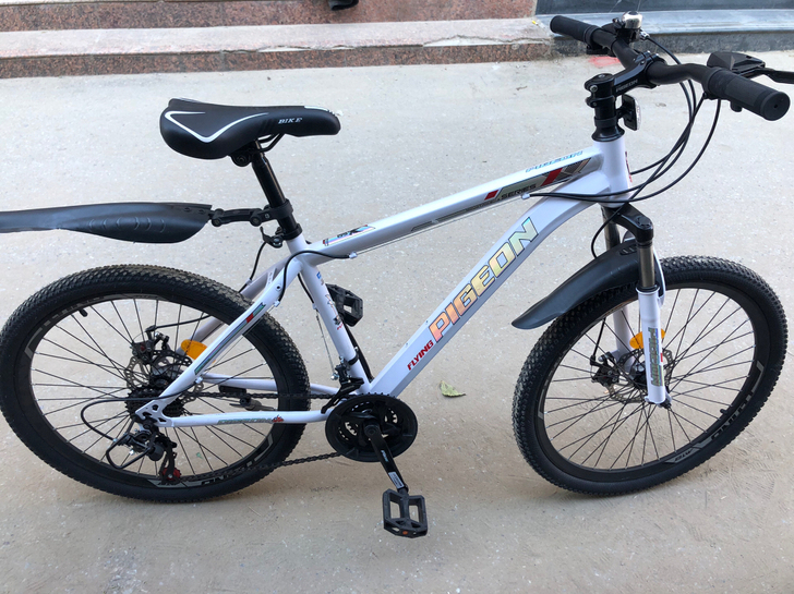 飞鸽牌的。399买的。前天到的组装上了骑了...