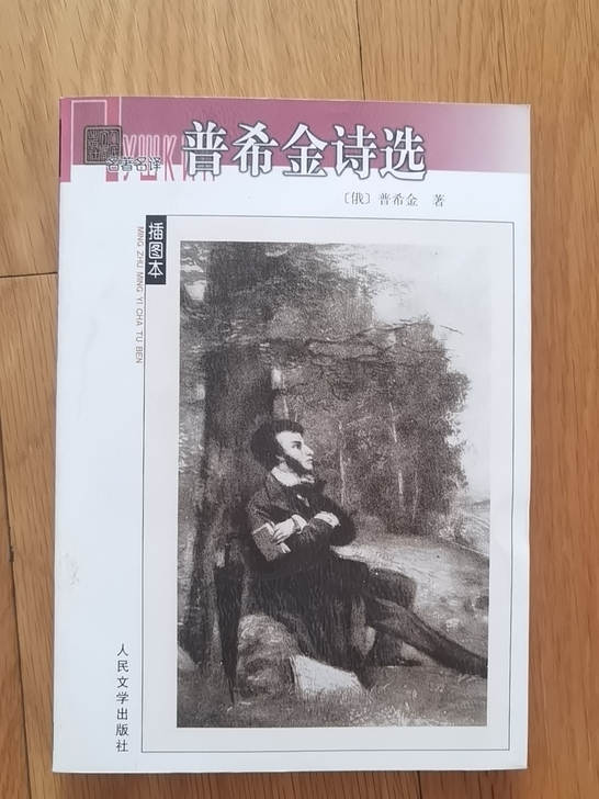 普希金诗选，名著名译插图本，图片中的书籍都...
