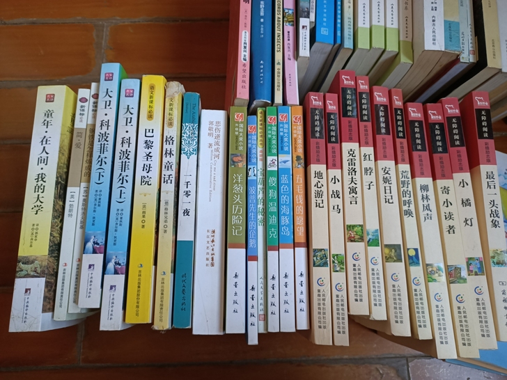 都是我上学时候看的书~几乎全新