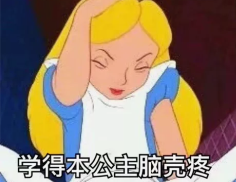 英文计算机辅导R语言 Java C语言 C...