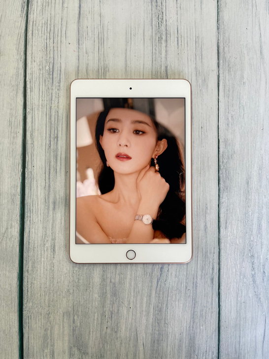 2019款iPad mini5 64g 插...