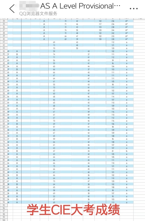IGCSE数学，Alevel数学P1，S1...