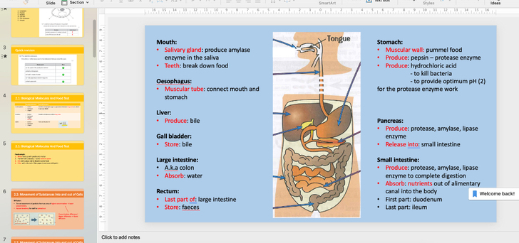 IGCSE生物ALevel生物老师tuto...