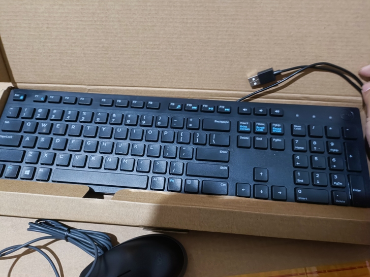 dell品牌键盘，功能完好，有线键盘