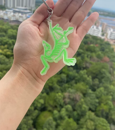 便宜转让始  祖鸟 AR  CTERYX ...