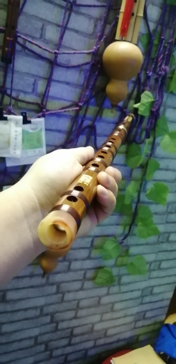 竹笛  苦竹笛子 牧童单插笛子 CDEFG...