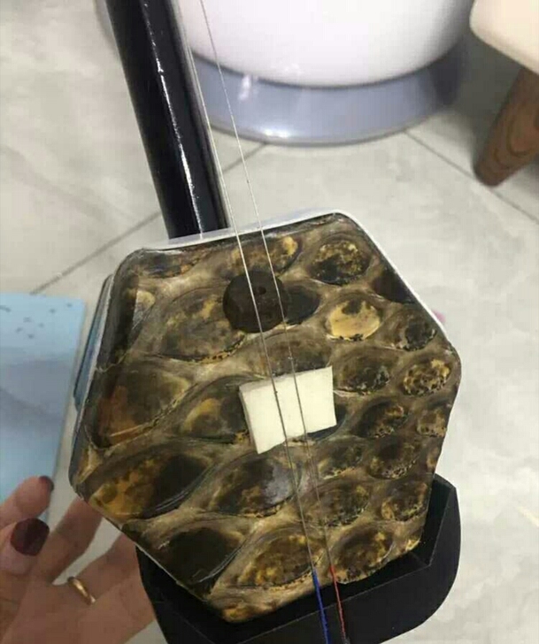 【原价599全新清】全新二胡处理，原价六百的