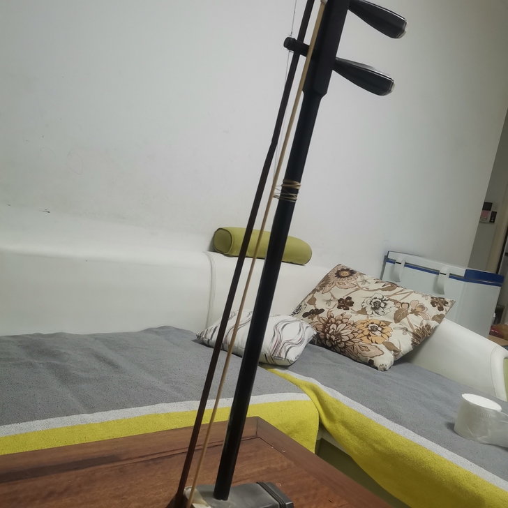 闲置二胡不会拉，出手