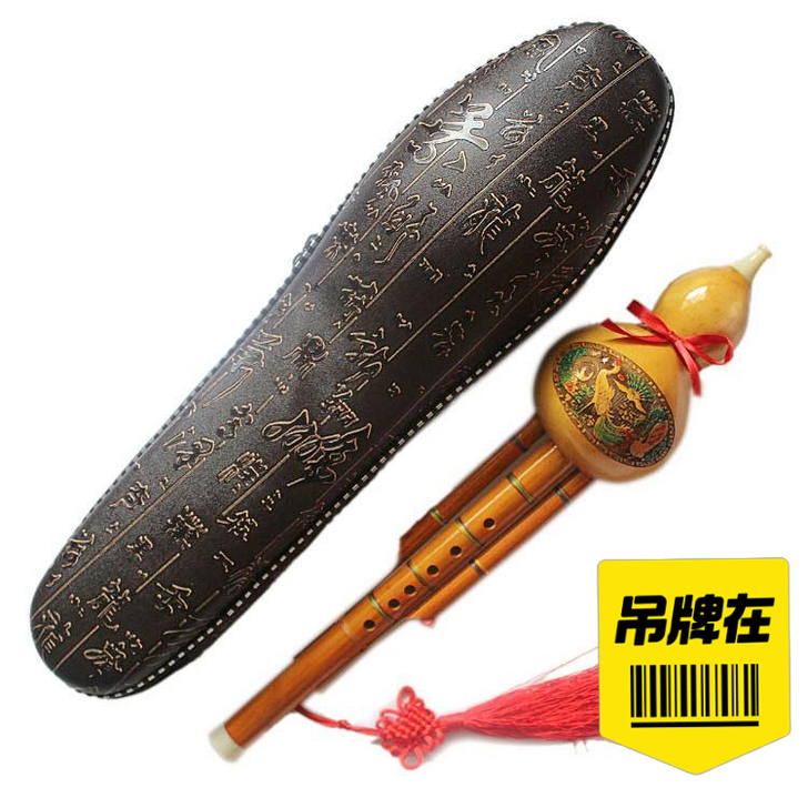 全新葫芦丝，初学C调，带皮盒