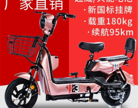 新国标电动车两轮电瓶车爱玛雅迪小鸟同款小全...