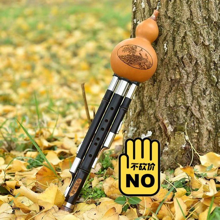 葫芦丝转卖（包邮）