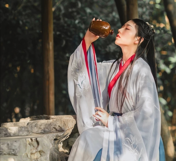 【滢雪】花朝记原创汉服魏晋风刺绣交领大袖齐...