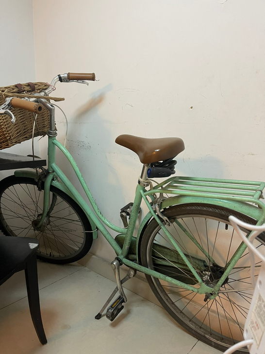 永久牌复古自行车