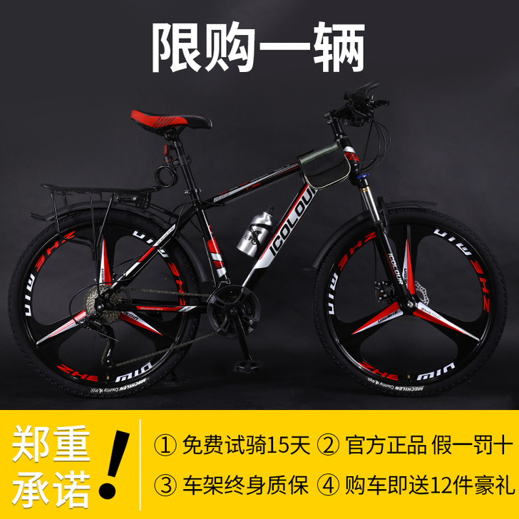 iColour 山地自行车,只骑了一两个月...