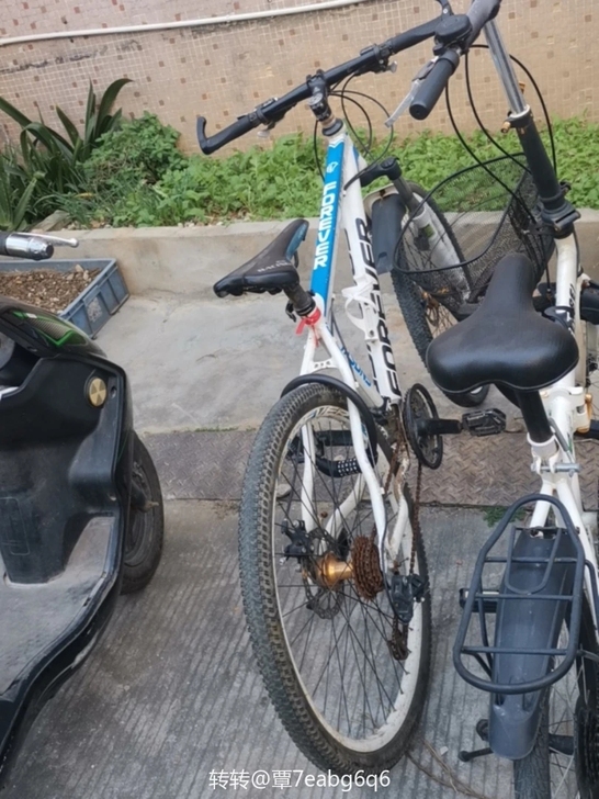 永久牌自用山地自行车 带密码锁下把， 买的...