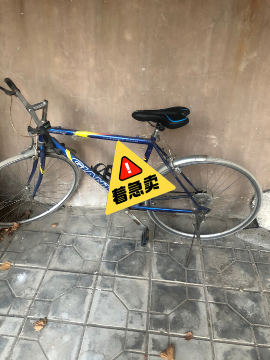 捷安特自行车13963673143