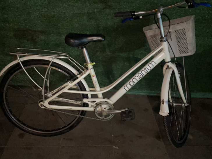 Ineed爱你 1000捷安特自行车(20...