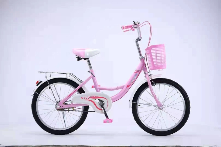 全新 品牌型号 世萌20寸芭蕾，适合九岁以...
