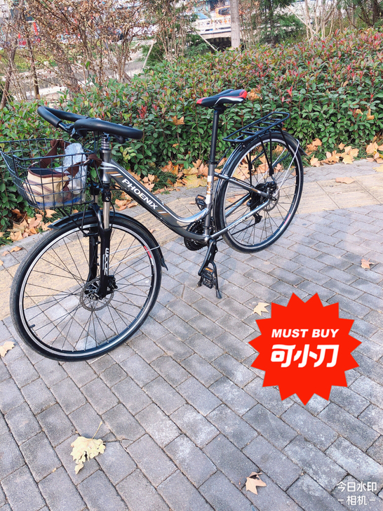 凤凰旅行车S车架 九八新 禧玛诺变速 蝴蝶...