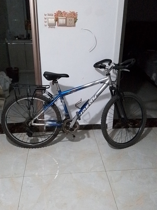 转让飞鸽旅行车，铝合金车架，蝴蝶把，禧玛诺...