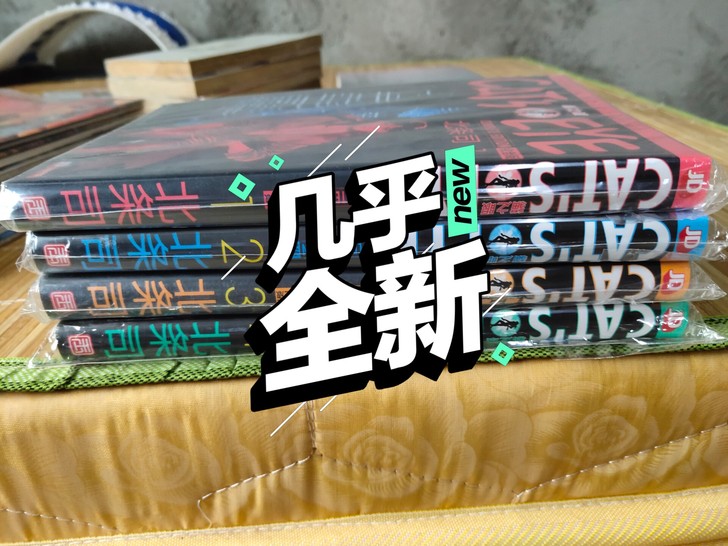 玉皇朝漫画 猫之眼完全版 北条司