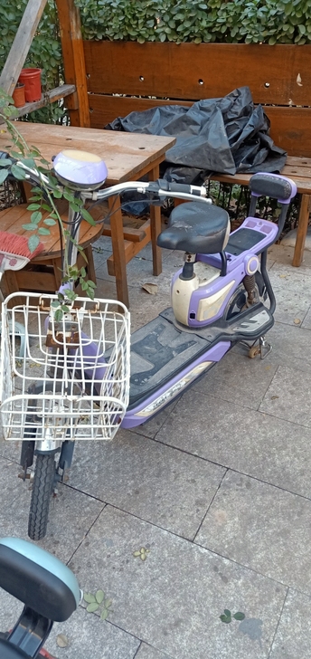 电动自行车,接送孩子用的,锂电池,也就是跑...