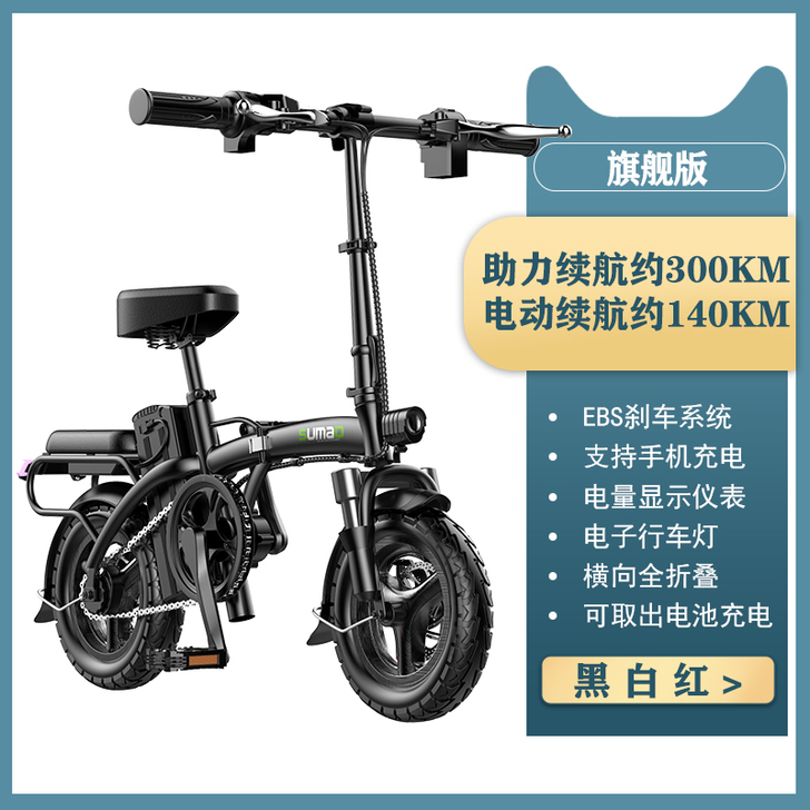 名顶 电动自行车