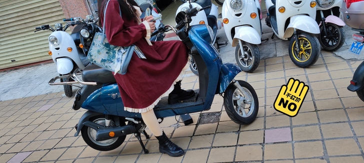 爱玛本铃新国标电动车，买了不到四个月，闲置...