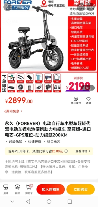 永久牌电动自行车