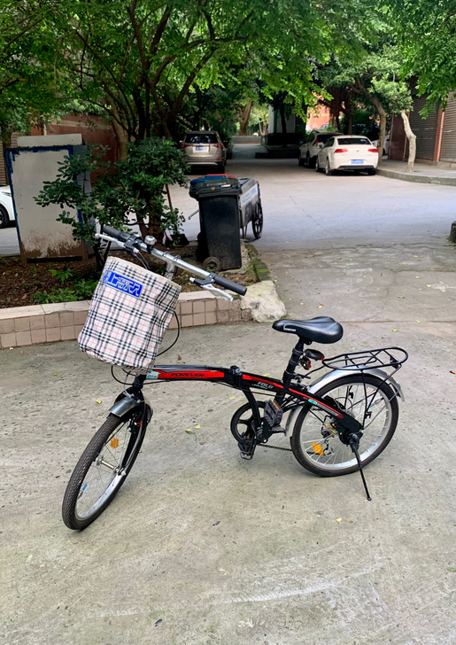 【Forever】永久牌