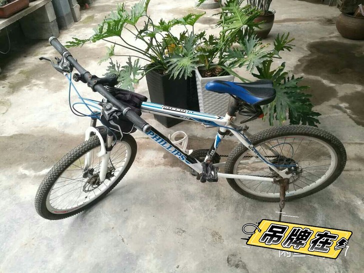 有全新的两台山地车，