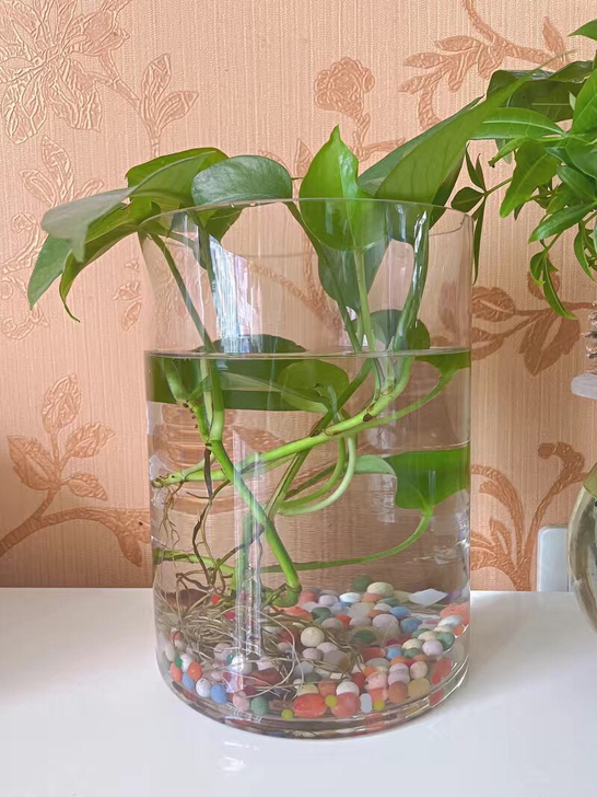 处理！落地直筒大号透明玻璃花瓶摆件客厅插花...