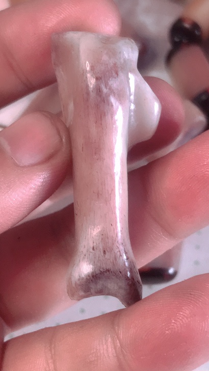 驼骨 根骨  5.2尺寸 就一颗 特价 4...